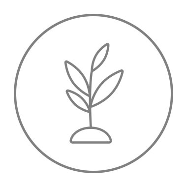 Filiz satırı simgesi.