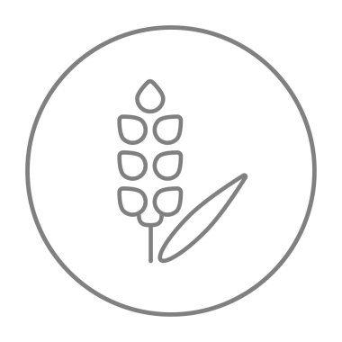 Buğday satırı simgesi.