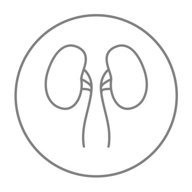 Böbrek çizgisi simgesi.