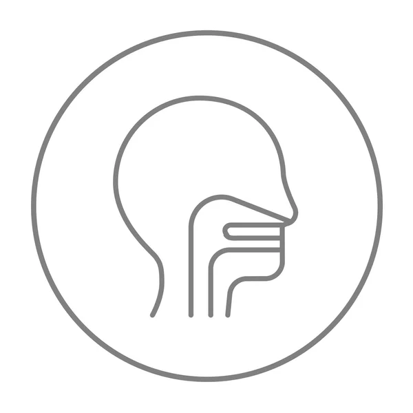 Tête humaine avec oreille, nez, icône de la ligne du système de gorge . — Image vectorielle