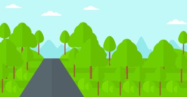 Yeşil orman arka plan.