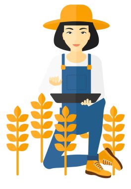 Alan bilgisayarda adamla.