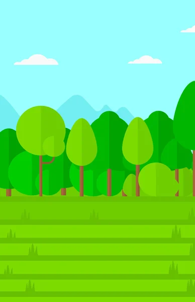 Hintergrund des grünen Rasens mit Bäumen. — Stockvektor