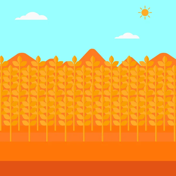 Фон пшеничного поля . — стоковий вектор
