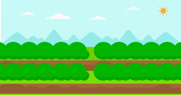 Fondo de filas de campo con arbustos verdes . — Vector de stock