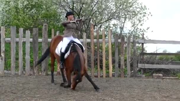 Cavalier sur le cheval — Video