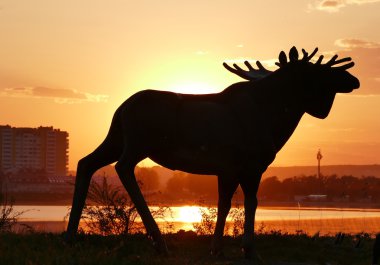 geyiği siluet günbatımı arka plan üzerinde