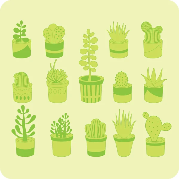 Succulent mix — Stock Vector