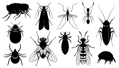 Zararlı, batma ve böcekler parasitizing vektör