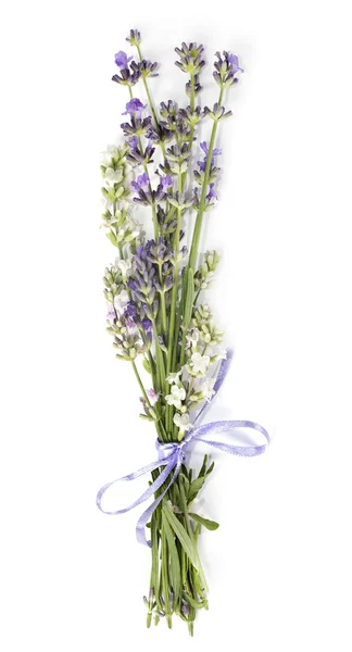 Ramo de flores de lavanda con cinta en un blanco — Foto de Stock