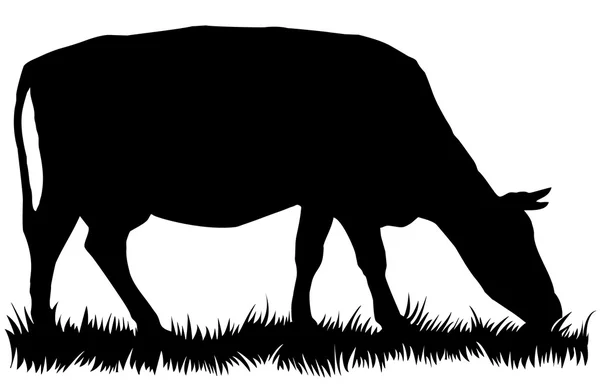 Silhouette of cow eating grass — Stock Vector