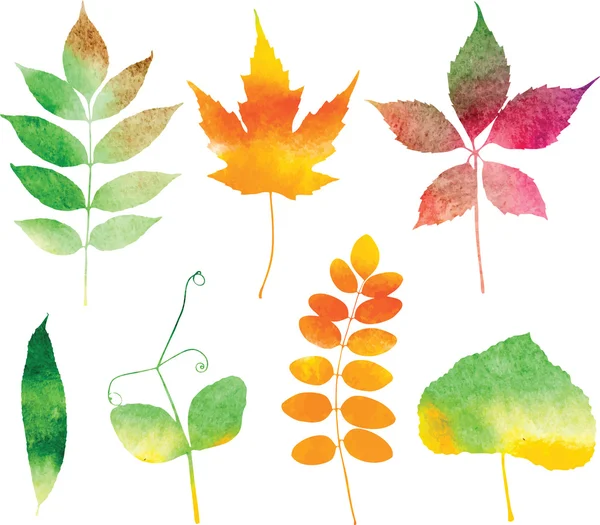 Conjunto de folhas de outono aquarela vetorial — Vetor de Stock