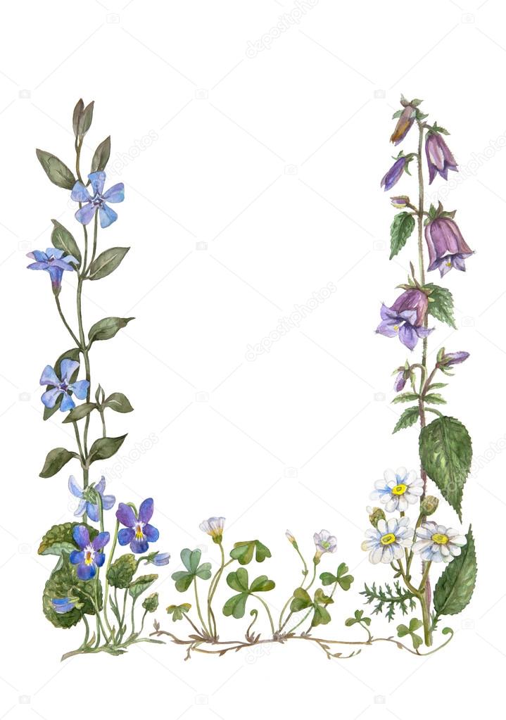 watercolor flower frame 