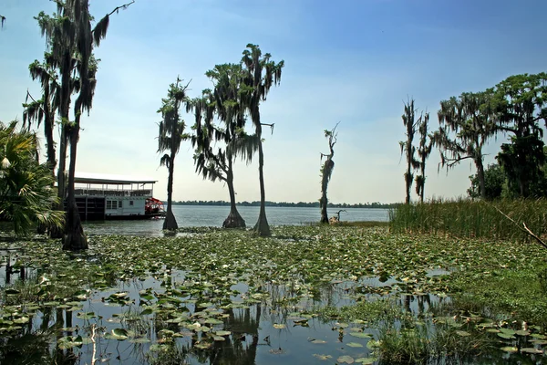 Lago — Fotografia de Stock