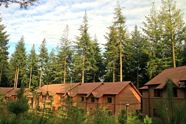 Forest Houses — Stock Photo, Image