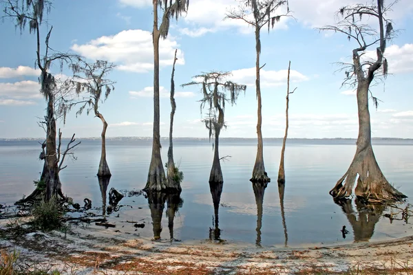 Lago — Fotografia de Stock