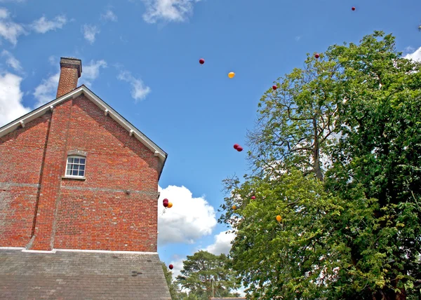 Luftballons fliegen — Stockfoto