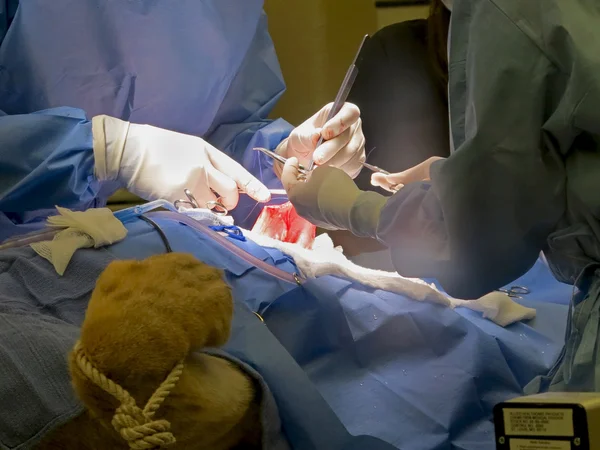 Stomach Suturing — Stock Photo, Image