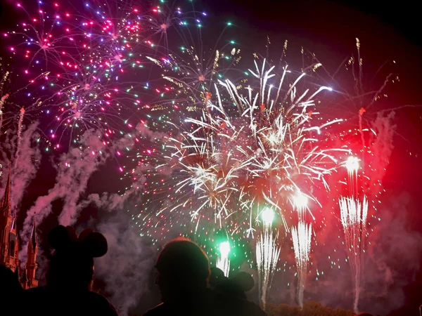 Deseos Fuegos artificiales — Foto de Stock