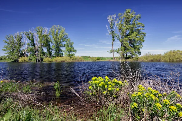 Paisaje primaveral con río y cielo azul — Foto de Stock