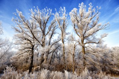 Kış akşam manzarası 