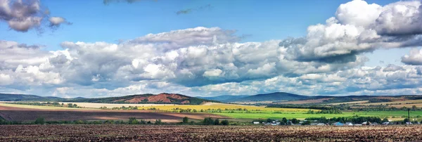 Paysage d'été. Photo De Stock