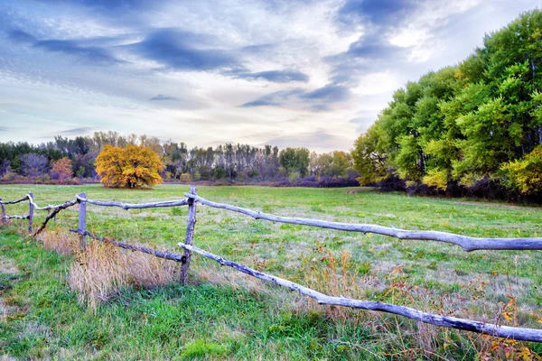 Otoño hermoso paisaje — Foto de Stock