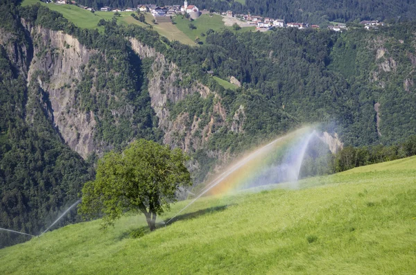 Agricoltura biologica in Alto Adige — Foto Stock