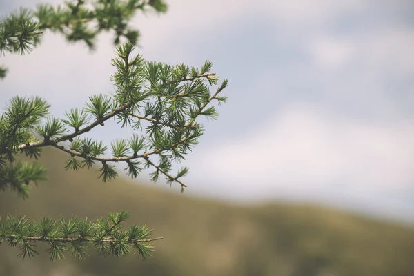 Görünüm Rosskopf - Monte Cavallo (VIPITENO gelen İtalyan Alplerinin ortasından geçiyordu — Stok fotoğraf