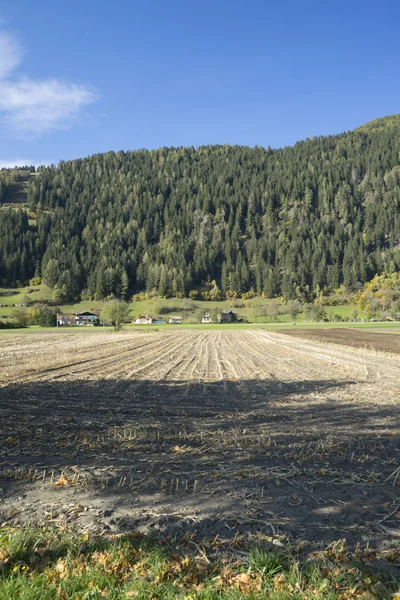 Uncultivated field in Tyrol — Stock Photo, Image