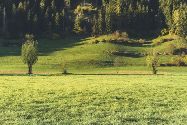 Landscape near Vipiteno - Sterzing — Stock Photo, Image