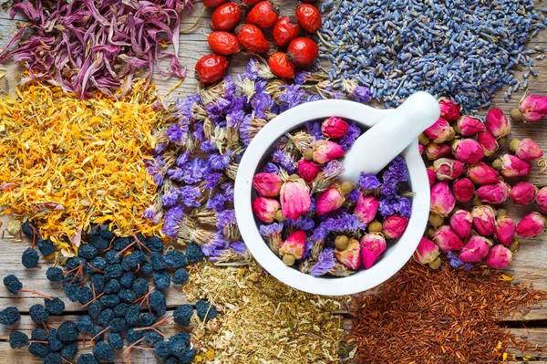 Mortaio di erbe curative, assortimento di tisane e bacche — Foto Stock