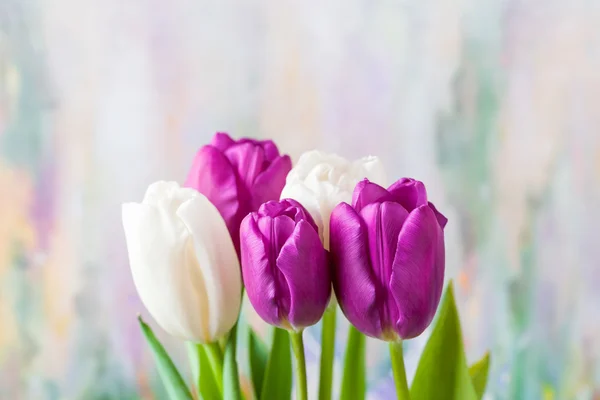 Bouquet of spring tulips — Stock Photo, Image