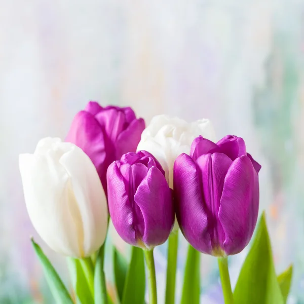 Bouquet of spring tulips on pastel background — Stock Photo, Image
