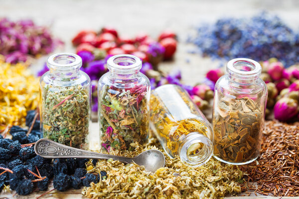 Bottles of healing herbs, herbal medicine.
