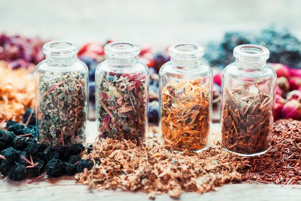 Bottles of healing herbs, herbal medicine. Retro styled photo. — Stock Photo, Image