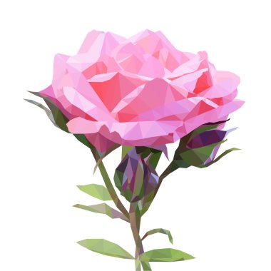 Düşük Poli tarzı güzel pembe Gül beyaz