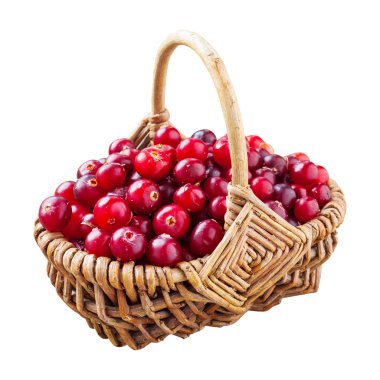 Beyaz izole hasır sepet içinde kırmızı taze kızılcık