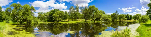 Hermoso paisaje de verano, Belarús — Foto de Stock