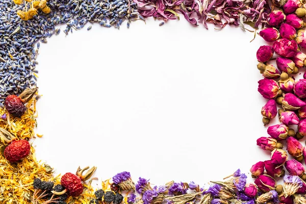 Confine di erbe sane e assortimento di tisane su bianco — Foto Stock