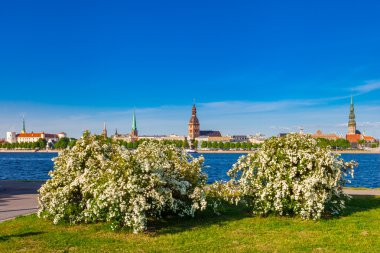 Old Town Riga Daugava Nehri bir bakış yaz. Riga, Letonya