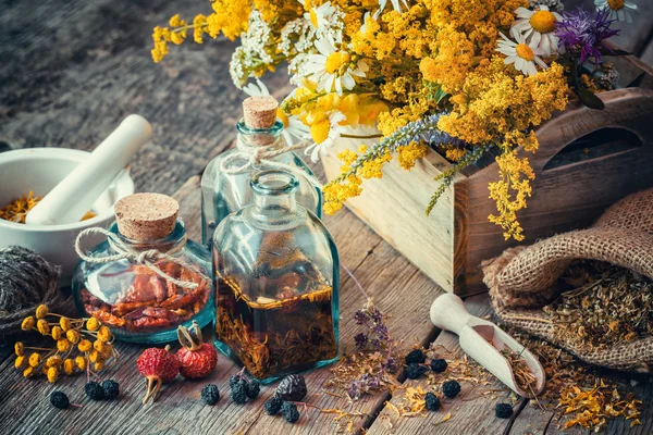 Şişe tentür ve kuru sağlıklı otlar