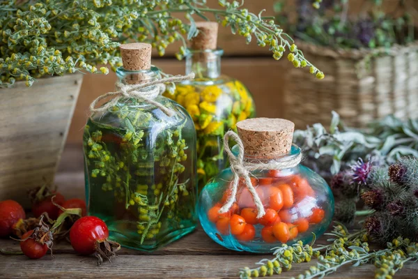 Tincture bottles of tansy, tarragon herbs and rowanberries — Stock Photo, Image