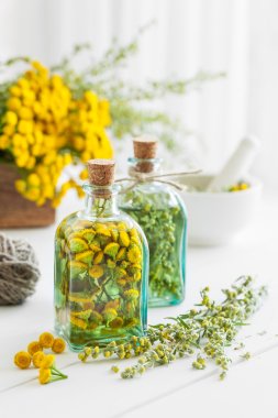Tincture bottles of tansy and tarragon healthy herbs clipart
