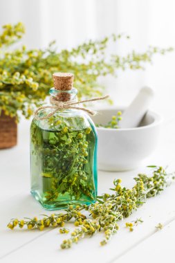 Bottle of absent or tincture of tarragon, absinthe healing herbs clipart