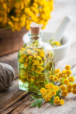 Solucan otu sağlıklı bitkiler, otlar şifa şişe tentür