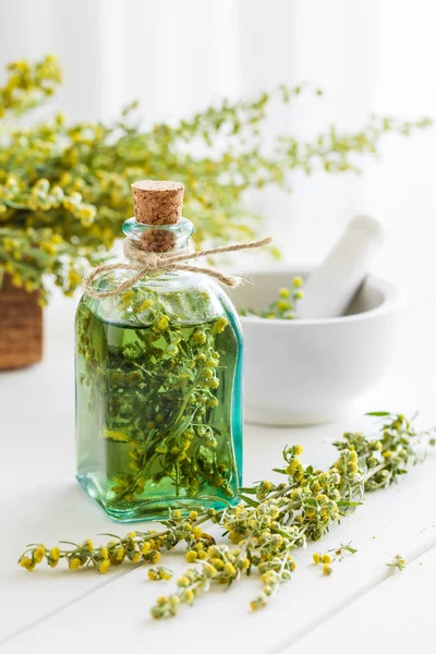 Bottle of absent or tincture of tarragon, absinthe healing herbs — Stock Photo, Image