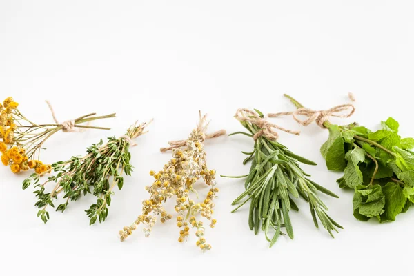 Guarire i mazzi di erbe sul bianco. Medicina vegetale . — Foto Stock