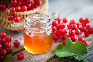 Kavanoz bal ve Guelder rose veya kartopu çilek. Seçici foc