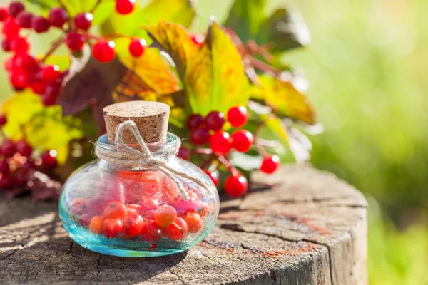 Flaschen Drosselbeeren (rotes Viburnum) auf Baumstumpf im Freien — Stockfoto